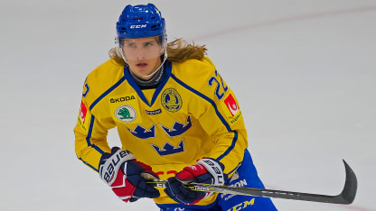 Axel Jonsson Fjallby-primary