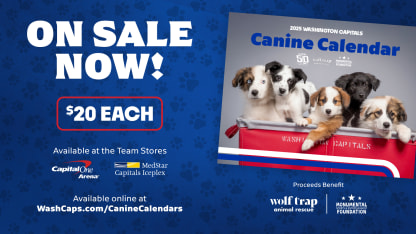 24Caps_CanineCalendar_Promo_FBTW_1920x1080