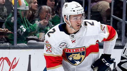 brownie summer plans