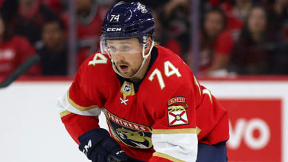 Asplund called up to Panthers