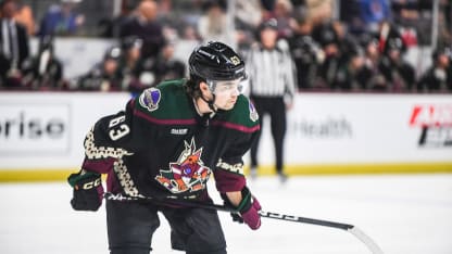 2023414_CanucksvsCoyotes_game_mj-078 (1)