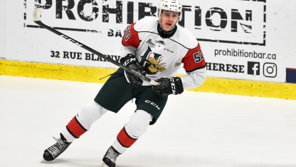 Raphael Lavoie draft diary 11.1