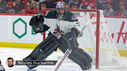 vejmelka badge ducharme