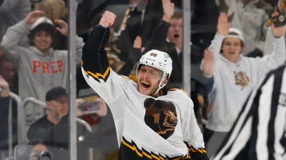 David Pastrnak