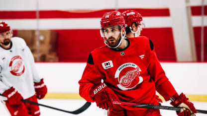 Red Wings trying to maximize practice time amid daily grind of season