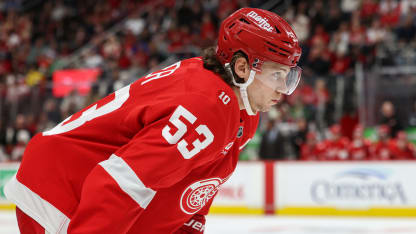 Seider und Red Wings suchen nach Konstanz