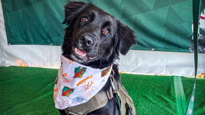 Brooksy at the 2022 State Fair