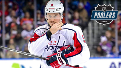 Leonard badge poolers