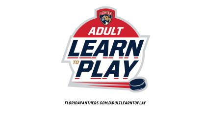 adult learn to play 2