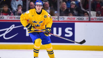 2017 Draft Lias Andersson
