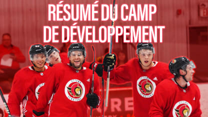 résumé de camp de developpement