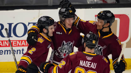 Iowa Wild v Chicago Wolves