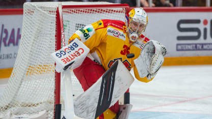 031623 sateri image 2