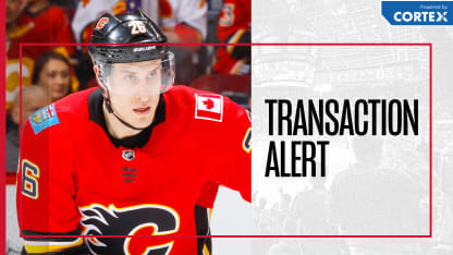 20190311_stone_cortex_mw