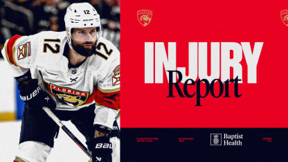 Gadjovich out a week with upper-body injury