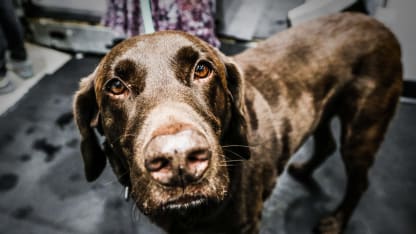 Blackhawks_Dallas_2020_Heitman0177