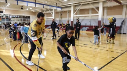 Ball Hockey Clinics