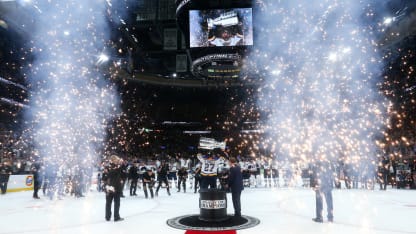 stanley cup blues 0613