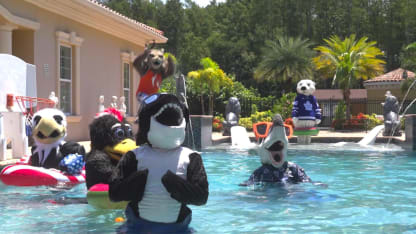 Un party piscine pour les mascottes à Tampa Bay