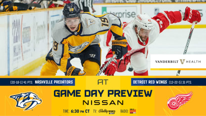 NHLBAM4_6NSHvsDETPreview
