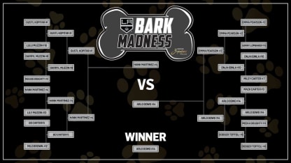 2017-Bark-Madness-Champion-Bracket