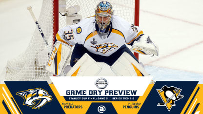 Rinne_looking_net_gm5_bug