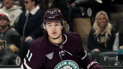 Anaheim Ducks vs Vegas Golden Knights