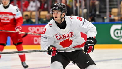 Islanders at 2025 IIHF World Championship