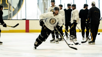 bergy