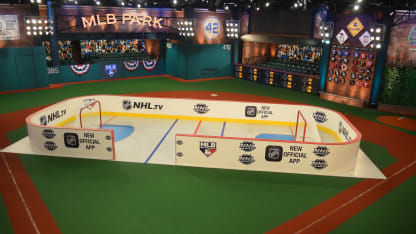 MLB Network NHl net rink