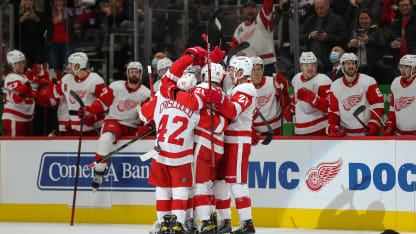 DET Red Wings 12-19
