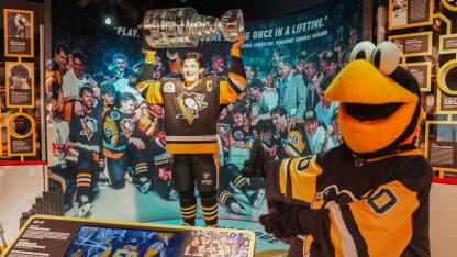 Mario heinz history center penguins display