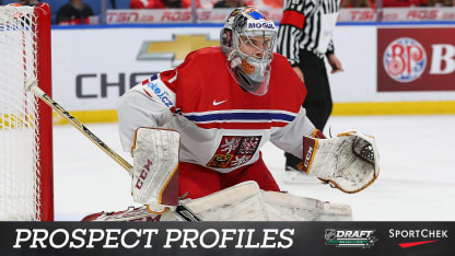goalies-prospectprofiles-NHL