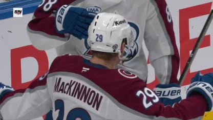 MacKinnon a raison de Skinner en A.N.