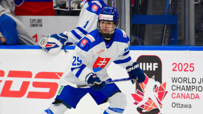 Team Slovakia v Team Sweden