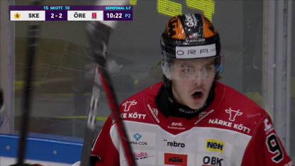 Höjdpunkter från Leo Carlsson