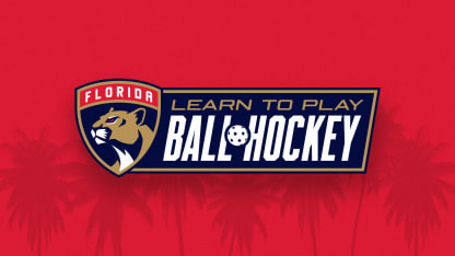 Learn to Play Ball Hockey