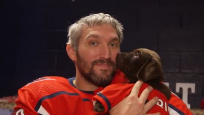 Ovi pup