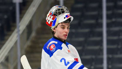 Michal Pradel #2 of Team Slovakia in action against Team Sweden during the preliminary round of the 2024 Hlinka Gretzky Cup at Rogers Place on August 05, 2024, in Edmonton, Alberta, Canada. (Photo by Leila Devlin/Getty Images)