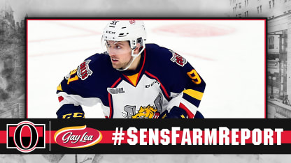 SensFarmReport-luchuk-NHL