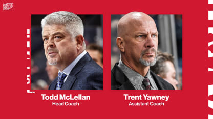 Red Wings name Todd McLellan Head Coach