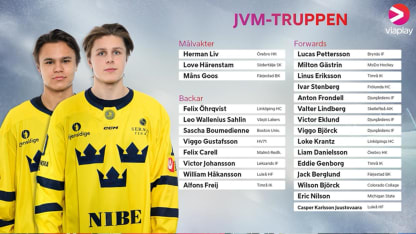 Godmorgon NHL! om JVM-Truppen