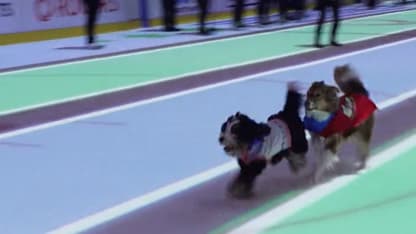 Canucks dog race