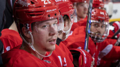 Raymond jagar slutspel med Detroit