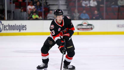 Thomson AHL pakkien ahnein maalipyssy