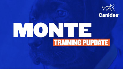 Monte Training Update