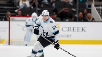 Minors Report - AHL-Tore von Stachowiak und Szuber