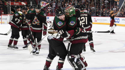 Arizona Coyotes three biggest questions