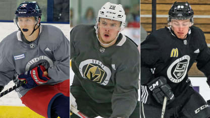 davidsson-elvenes-sodergran