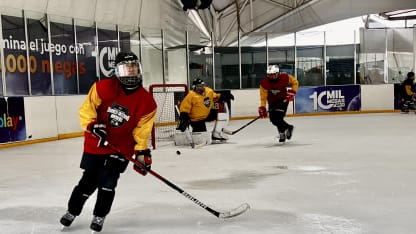 Mexico - Vegas Photo 3